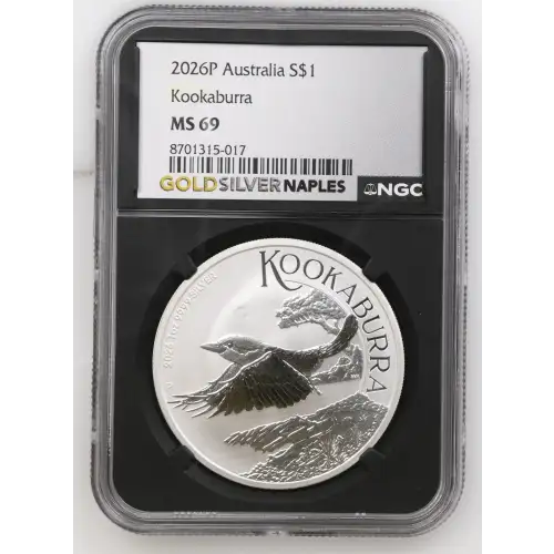 2026P Kookaburra (2)