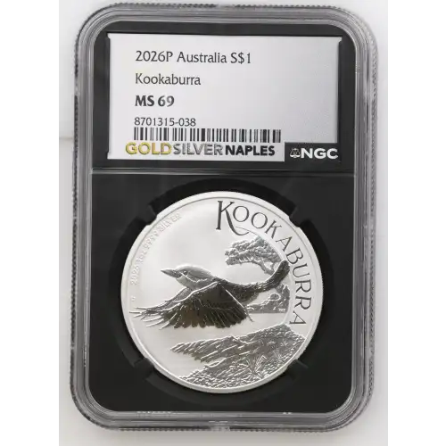 2026P Kookaburra (2)