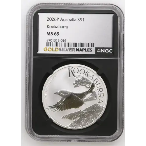 2026P Kookaburra (2)