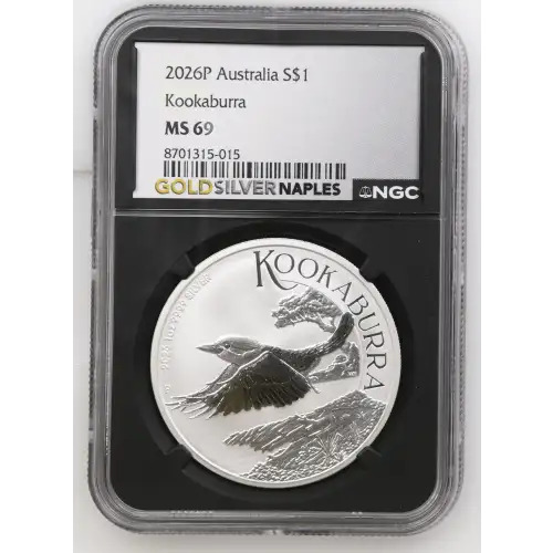 2026P Kookaburra (2)