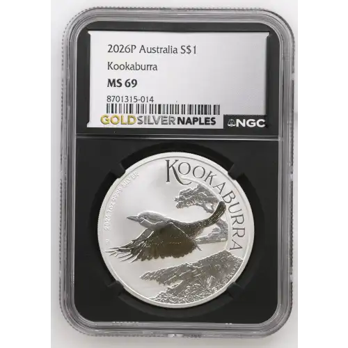 2026P Kookaburra (2)