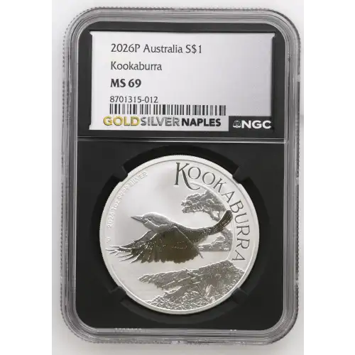 2026P Kookaburra (2)