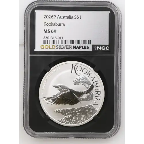 2026P Kookaburra (2)