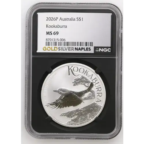 2026P Kookaburra (2)
