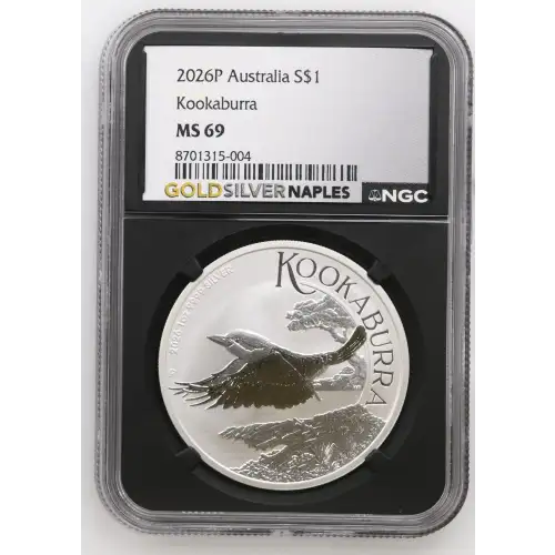 2026P Kookaburra (3)