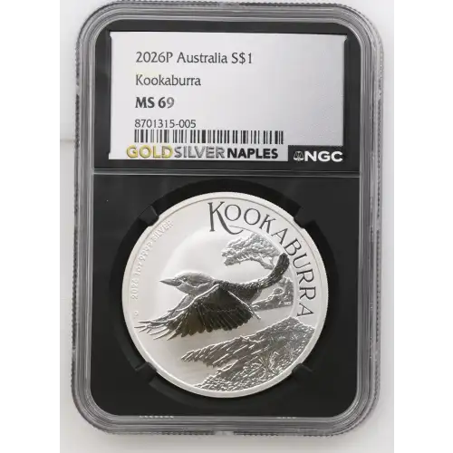 2026P Kookaburra (2)