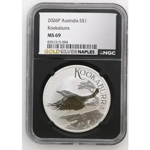 2026P Kookaburra (2)