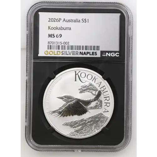 2026P Kookaburra (2)