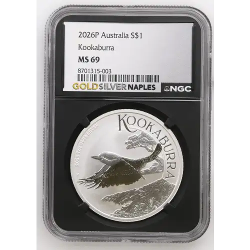 2026P Kookaburra (2)