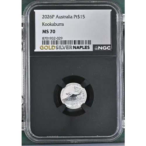 2026P Kookaburra (2)