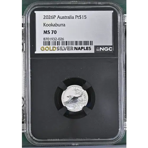 2026P Kookaburra (2)