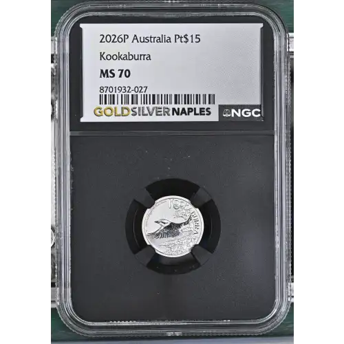 2026P Kookaburra (2)