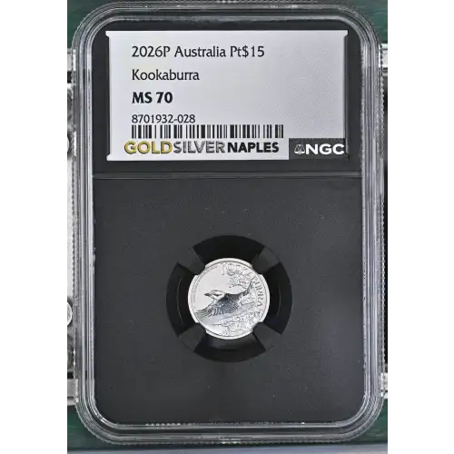 2026P Kookaburra (2)