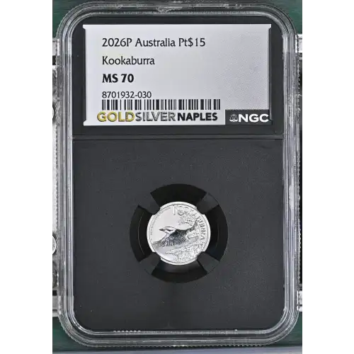 2026P Kookaburra (2)