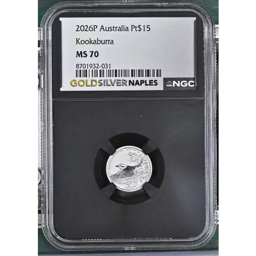 2026P Kookaburra (2)