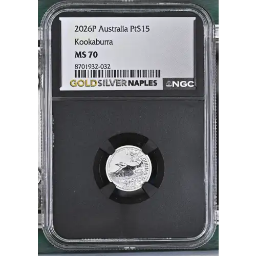2026P Kookaburra (2)