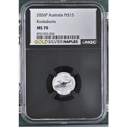 2026P Kookaburra (2)