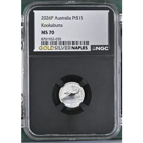 2026P Kookaburra (2)