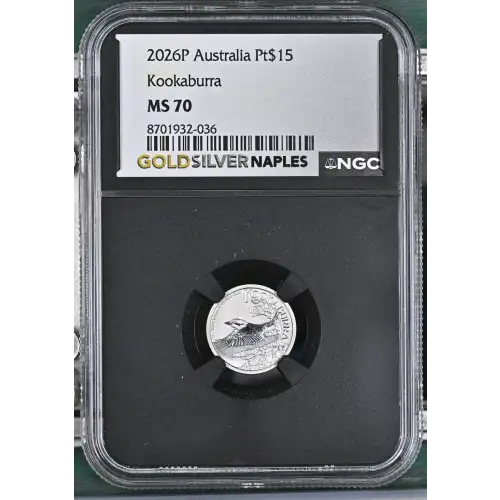 2026P Kookaburra (2)
