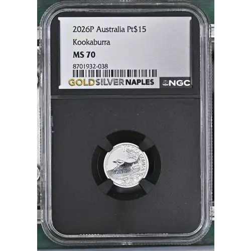 2026P Kookaburra (2)