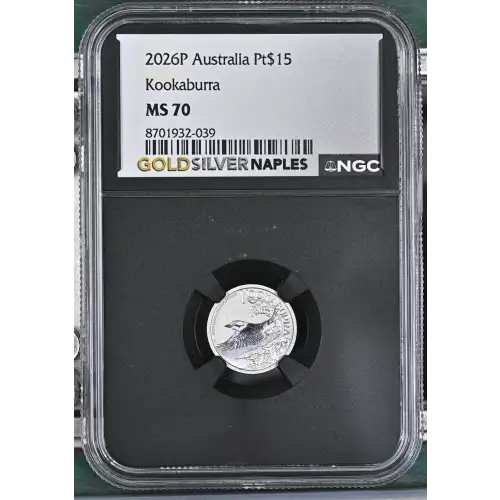 2026P Kookaburra (2)