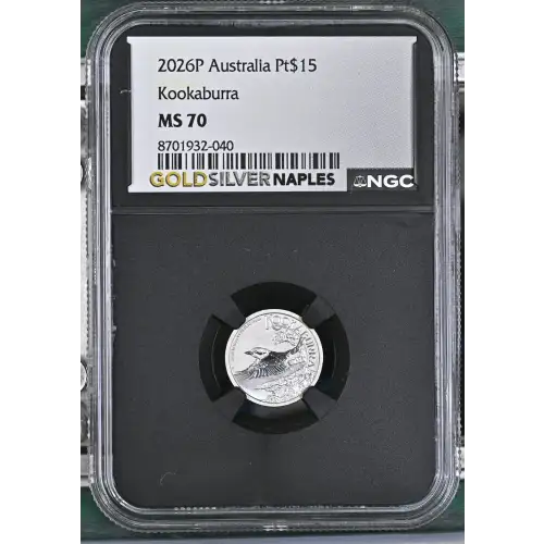 2026P Kookaburra (2)