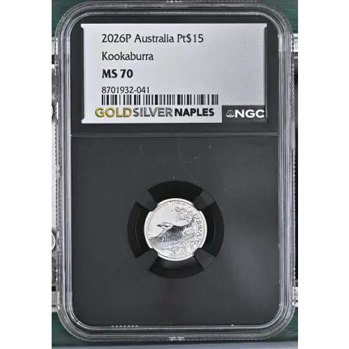 2026P Kookaburra (2)