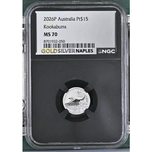 2026P Kookaburra (2)