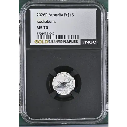2026P Kookaburra (2)