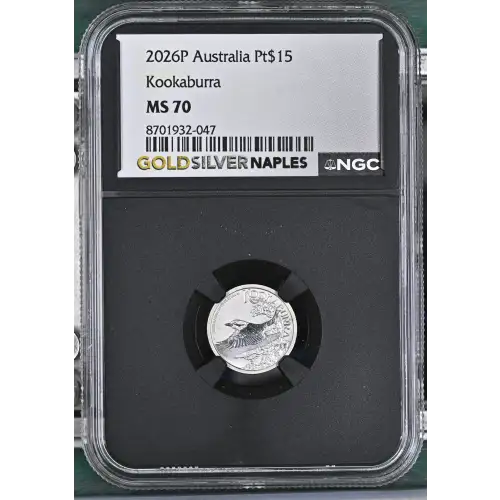 2026P Kookaburra (2)