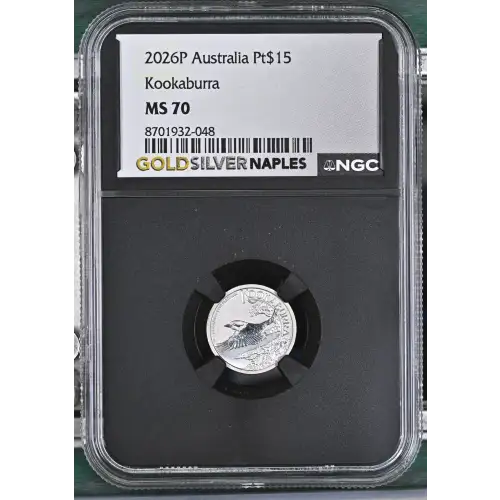 2026P Kookaburra (2)