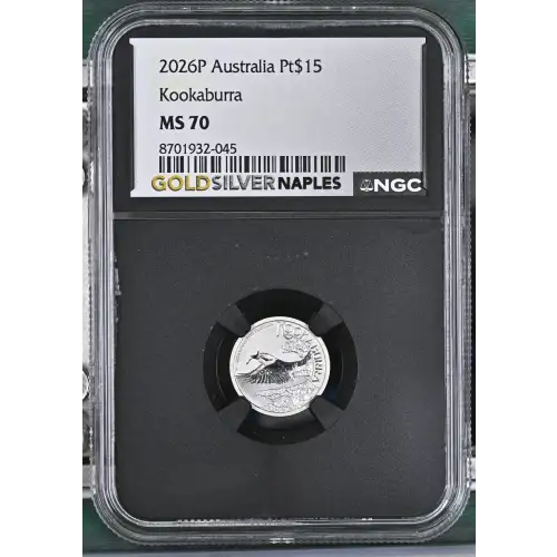 2026P Kookaburra (2)