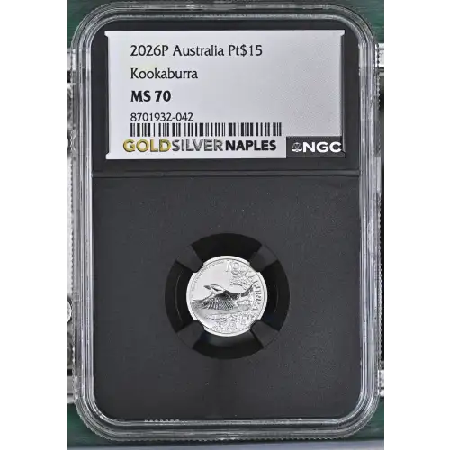 2026P Kookaburra (2)
