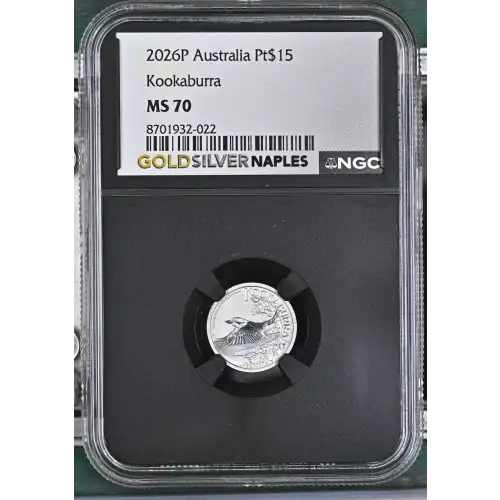 2026P Kookaburra (2)