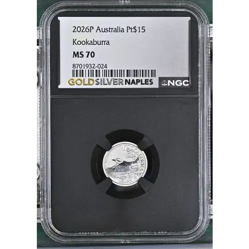 2026P Kookaburra (2)