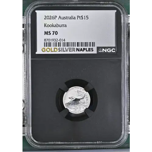 2026P Kookaburra (2)