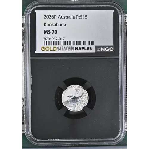 2026P Kookaburra (2)
