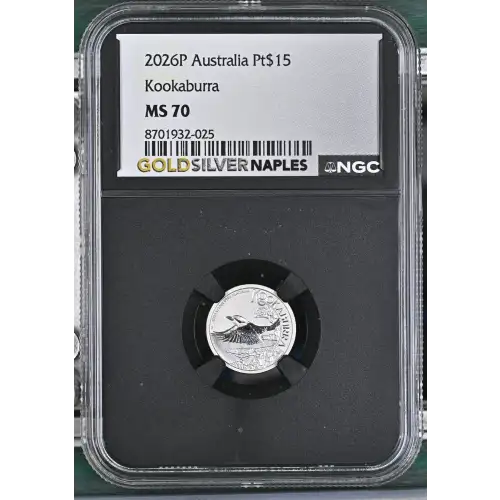2026P Kookaburra (2)