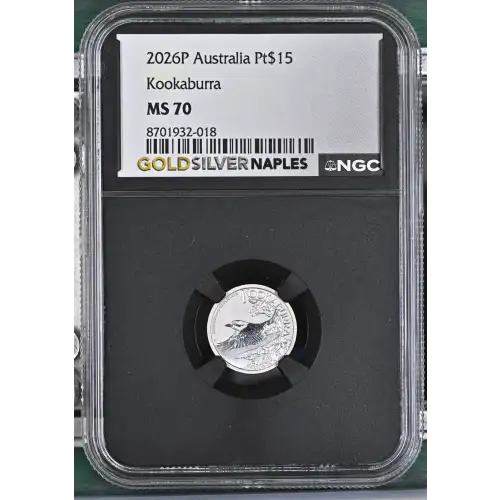 2026P Kookaburra (2)