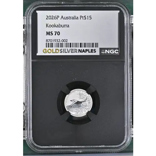 2026P Kookaburra (2)