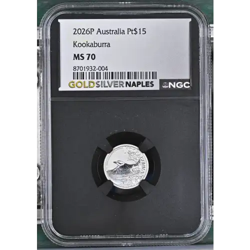 2026P Kookaburra (2)