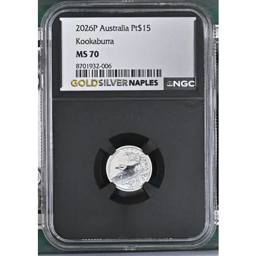 2026P Kookaburra (2)