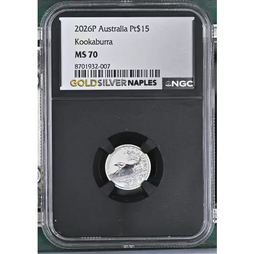 2026P Kookaburra (2)