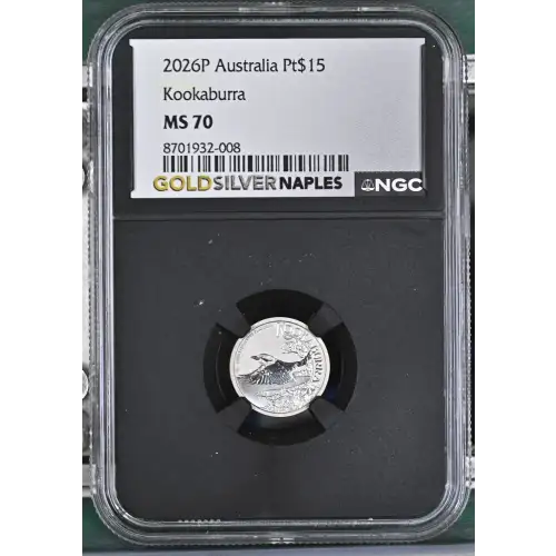 2026P Kookaburra (2)