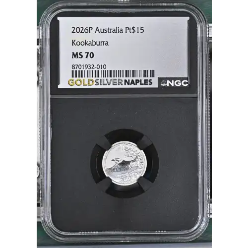 2026P Kookaburra (2)