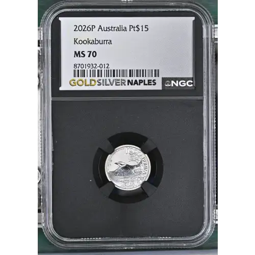 2026P Kookaburra (2)