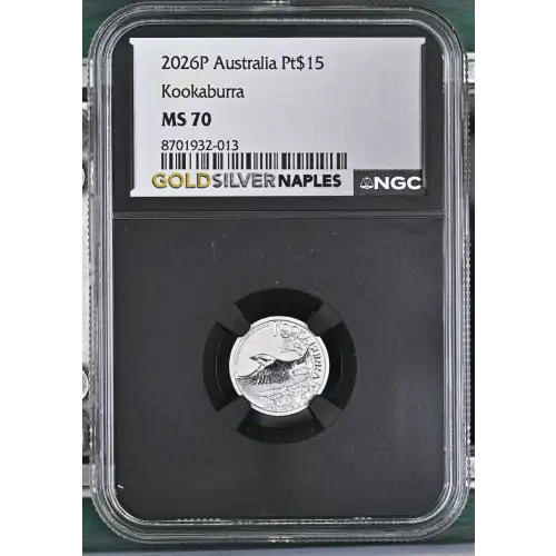 2026P Kookaburra (2)