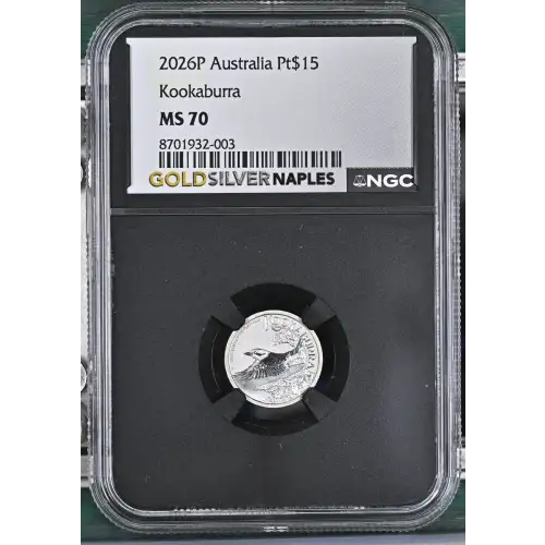 2026P Kookaburra (2)