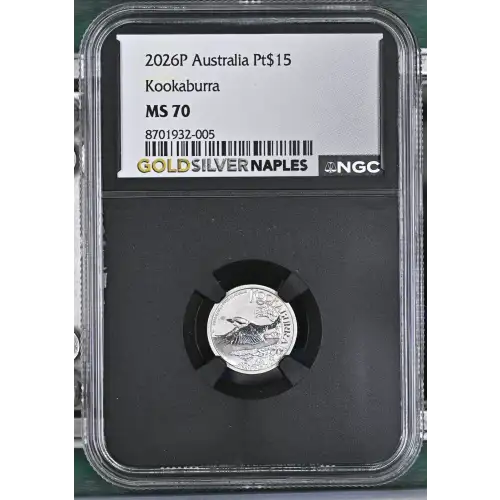 2026P Kookaburra (2)