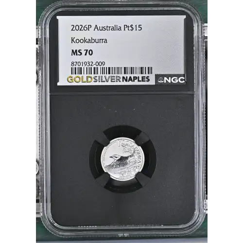 2026P Kookaburra (2)